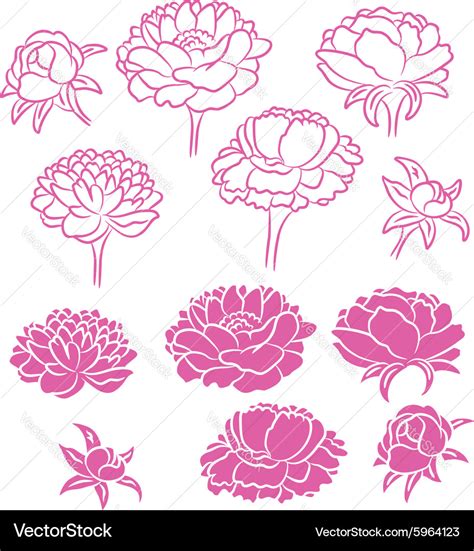 Peony Vector Art, Icons, and Graphics for Free Download.